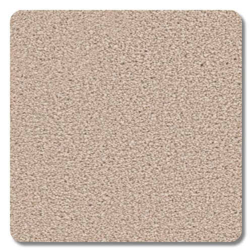 Sanibel Polyester Sunshine Carpet Textured 2
