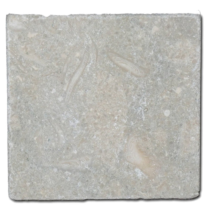 Full Tile Sample - Sea Grass Limestone Tile - 4" x 4" x 3/8" Antique