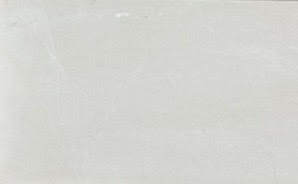 Sea Shell Shell Tile - Brushed