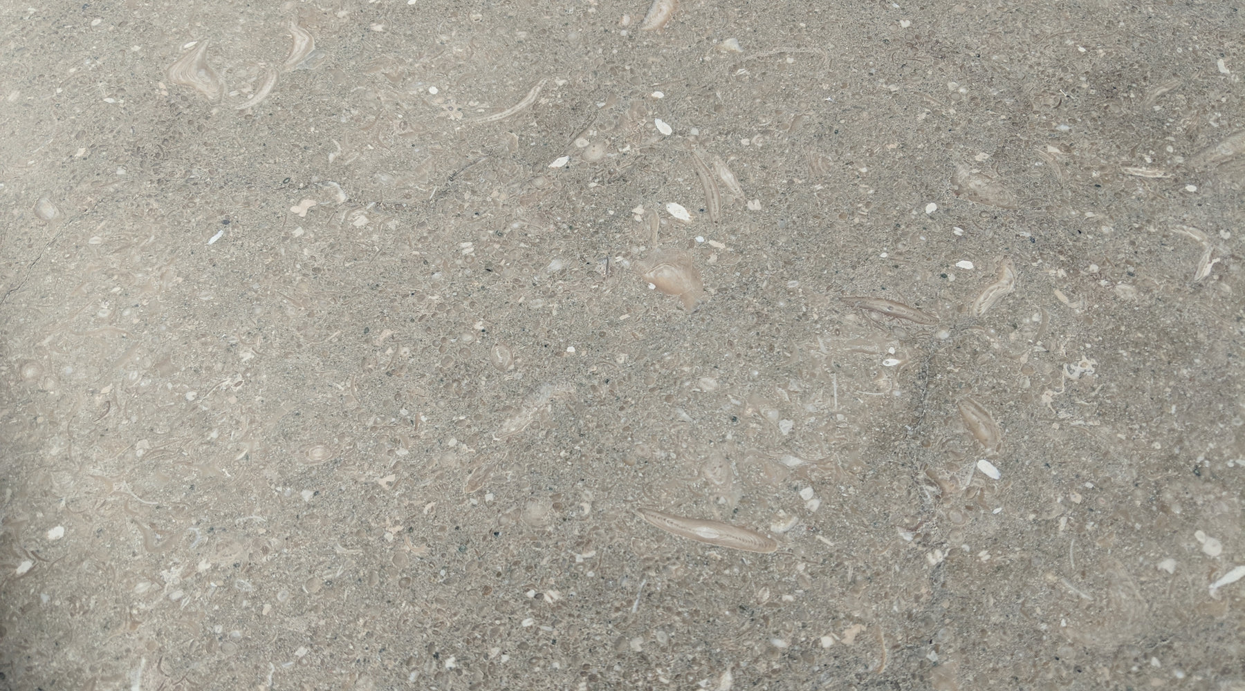 Sea Grass Premium Limestone Tile - Honed