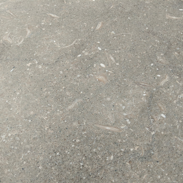 Sea Grass Premium Limestone Tile - Honed