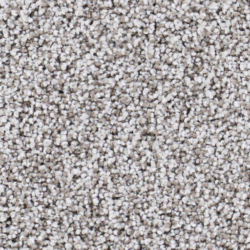 Seaside Polypropylene Capistrano Carpet Textured 1