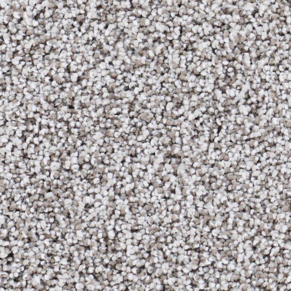 Seaside Polypropylene Capistrano Carpet Textured 1