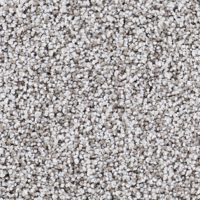 Seaside Polypropylene Capistrano Carpet Textured 2