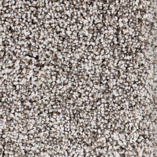 Seaside Polypropylene Big Sur Carpet Textured 1