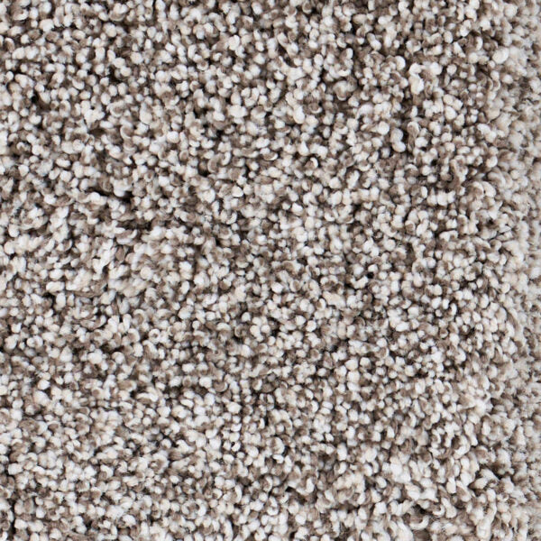 Seaside Polypropylene Big Sur Carpet Textured 1