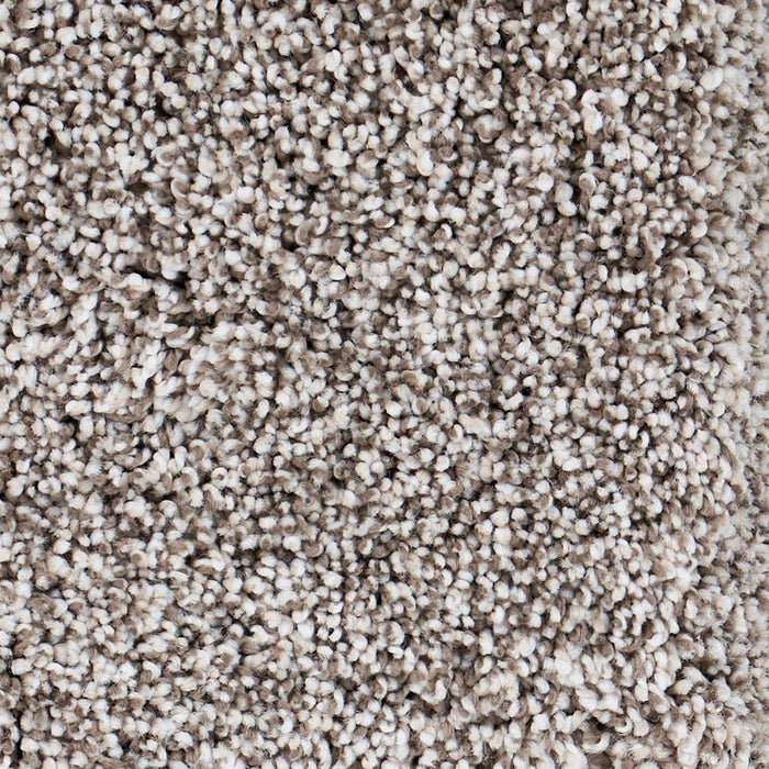 Seaside Polypropylene Big Sur Carpet Textured 2