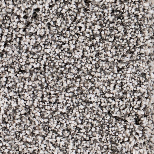 Seaside Polypropylene Pfeiffer Carpet Textured 1