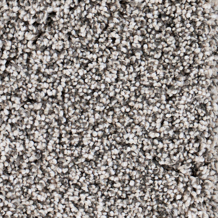 Seaside Polypropylene Pfeiffer Carpet Textured 2