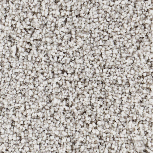 Seaside Polypropylene Malibu Carpet Textured 1