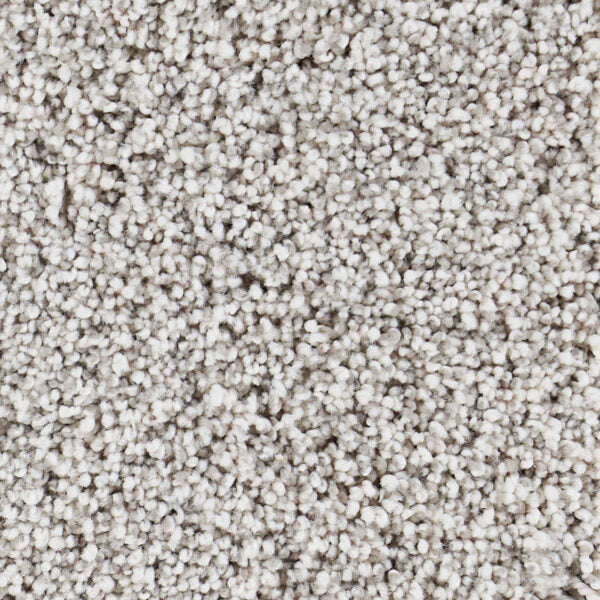 Seaside Polypropylene Malibu Carpet Textured 1