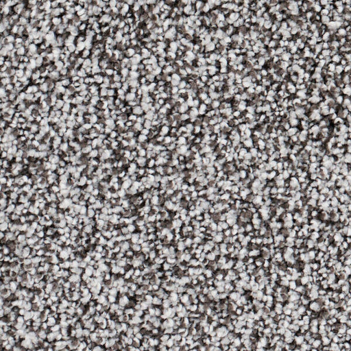 Seaside Polypropylene Monterey Carpet Textured 1