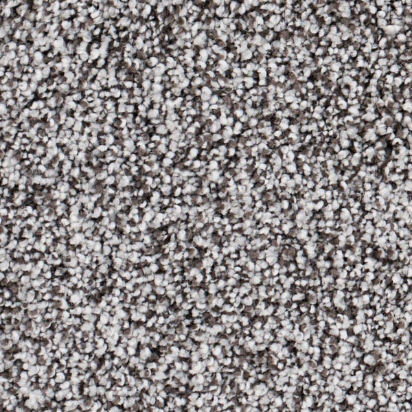 Seaside Polypropylene Monterey Carpet Textured 1