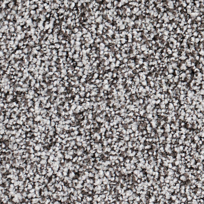 Seaside Polypropylene Monterey Carpet Textured 2