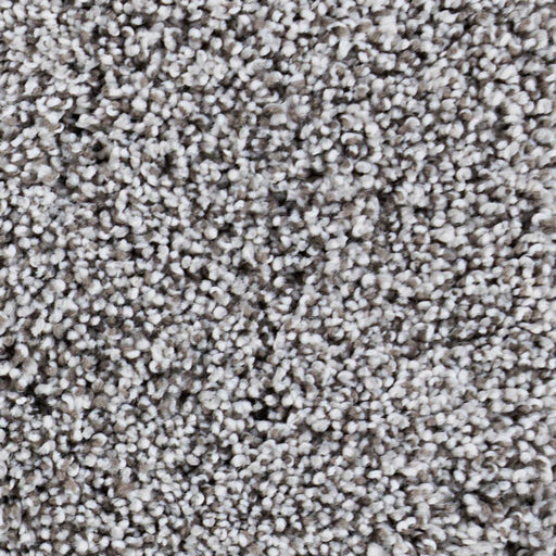 Seaside Polypropylene Moon Bay Carpet Textured 1