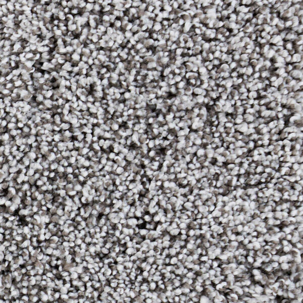Seaside Polypropylene Moon Bay Carpet Textured 1