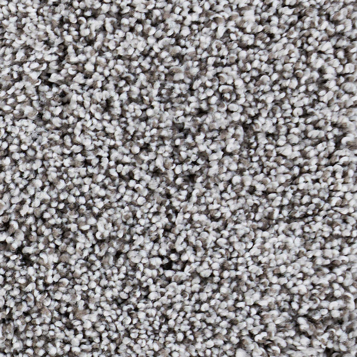Seaside Polypropylene Moon Bay Carpet Textured 2