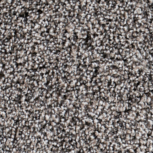 Seaside Polypropylene Laguna Carpet Textured 1