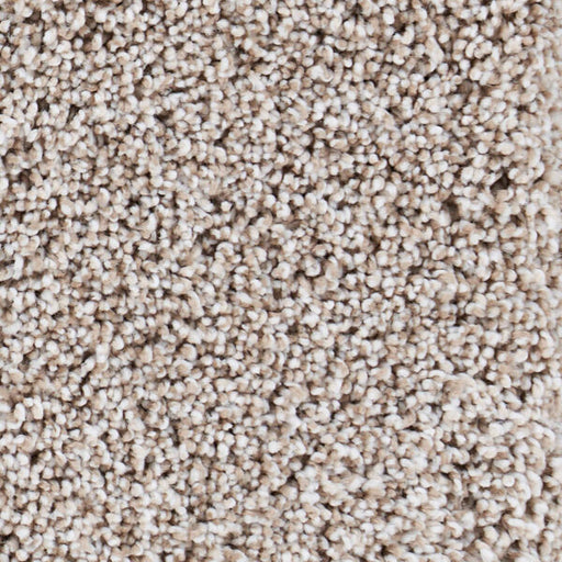 Seaside Polypropylene Carmel By The Sea Carpet Textured 1