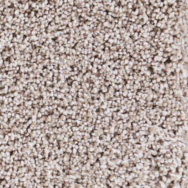 Seaside Polypropylene Carmel By The Sea Carpet Textured 1