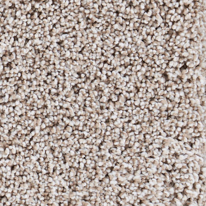 Seaside Polypropylene Carmel By The Sea Carpet Textured 2