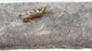Shaggy Swag Polysilk Chromium 22151 Carpet Smooth 3
