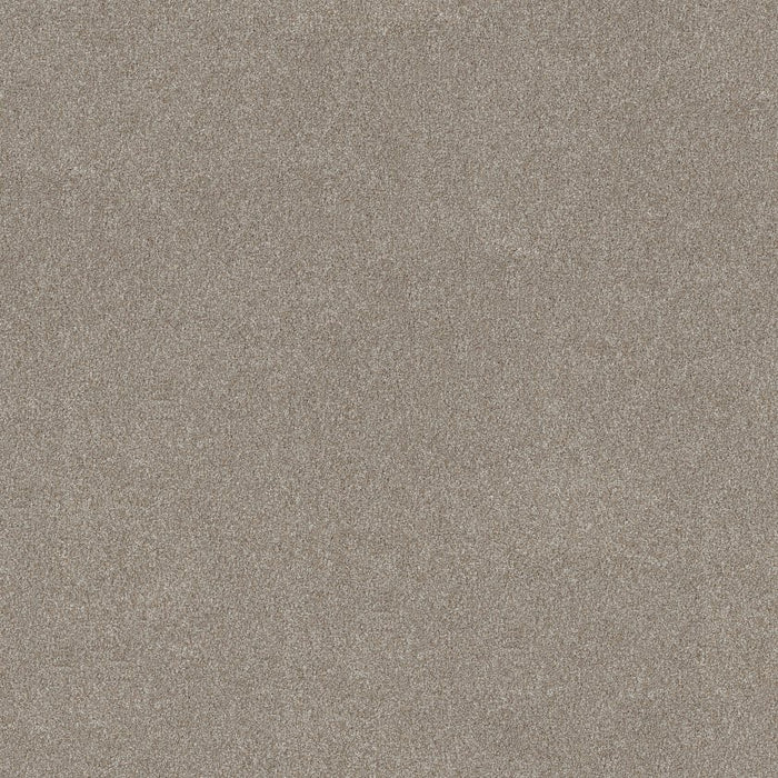 Simply The Best Values Good Move I Polyester Winter Dunes 00720