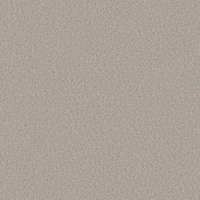 Simply The Best Values Good Move III Polyester Desert Light 00121