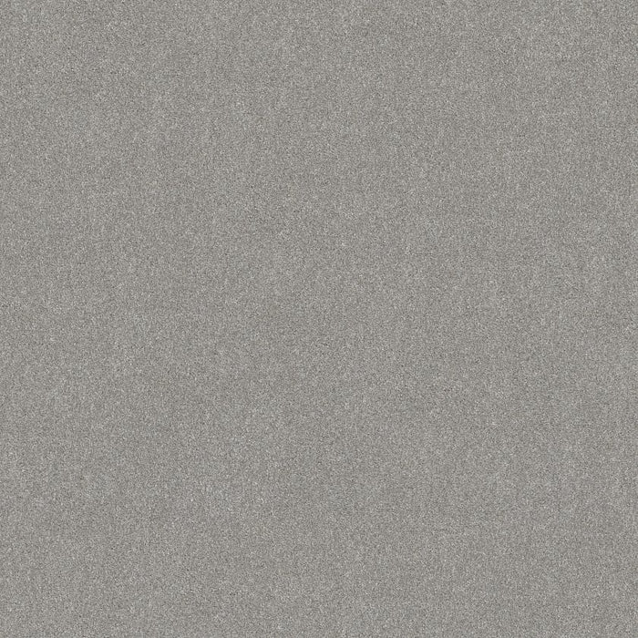 Simply The Best Values Good Move II Polyester Fog 00520