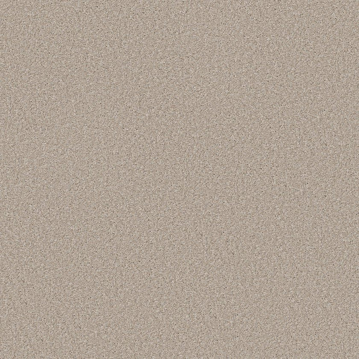 Simply The Best Values Good Move I Polyester Sandy Shore 00131