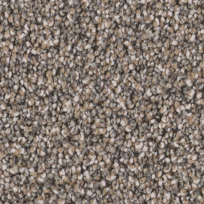 Pet Perfect Grand Influence I Castle Rock 00523