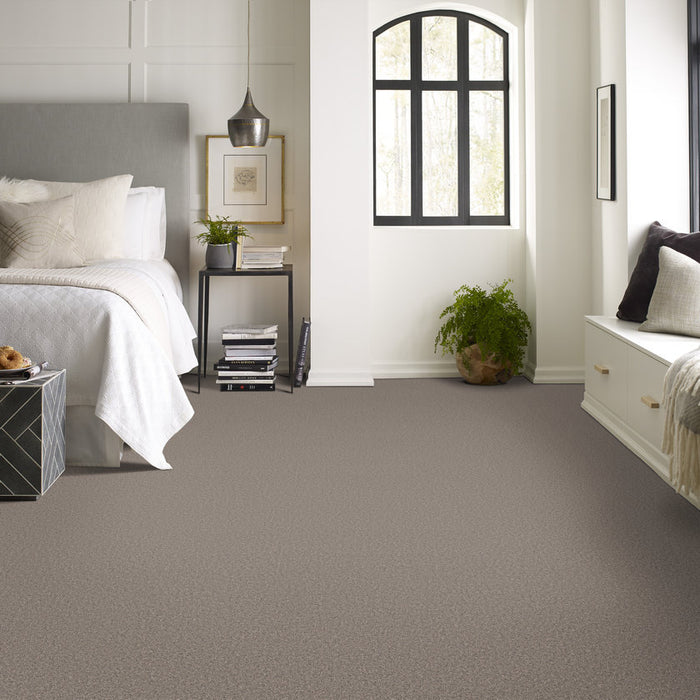 Pet Perfect Grand Influence II Castle Rock Textured 00523