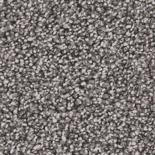 Pet Perfect Grand Influence I Charcoal Luster 00520