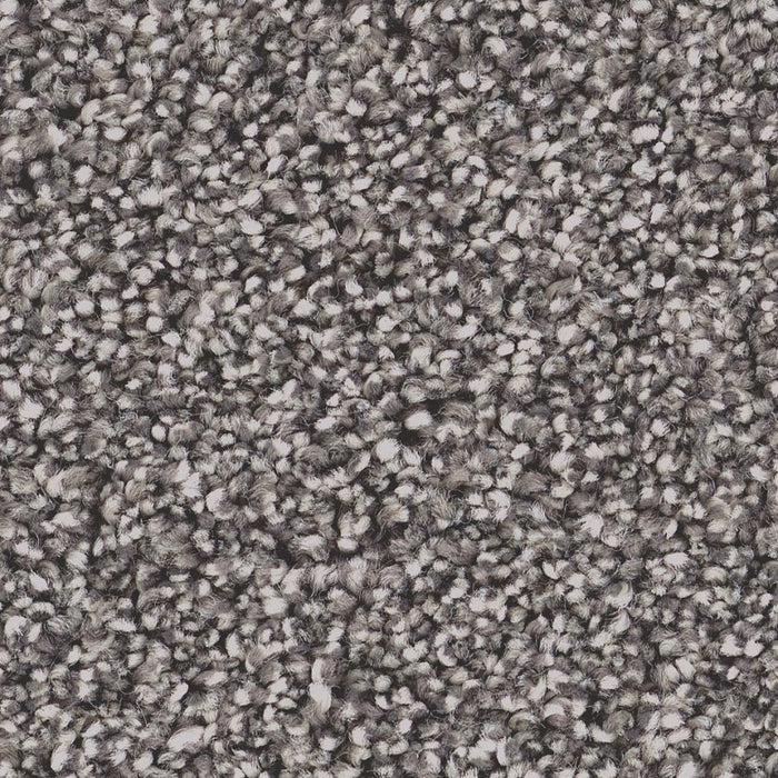 Pet Perfect Grand Influence II Charcoal Luster 00520
