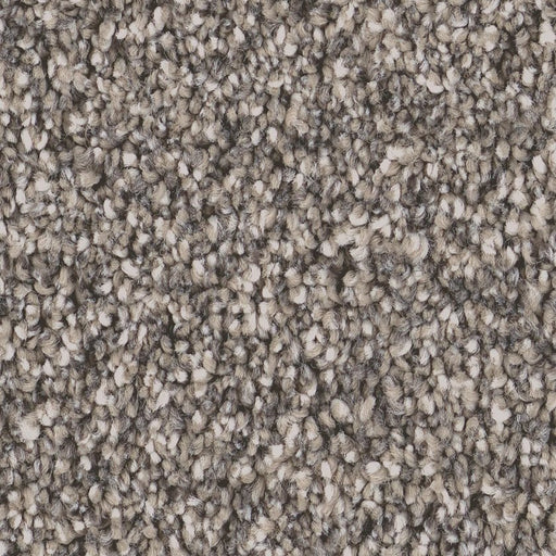 Pet Perfect Grand Influence II Earth Tone 00721