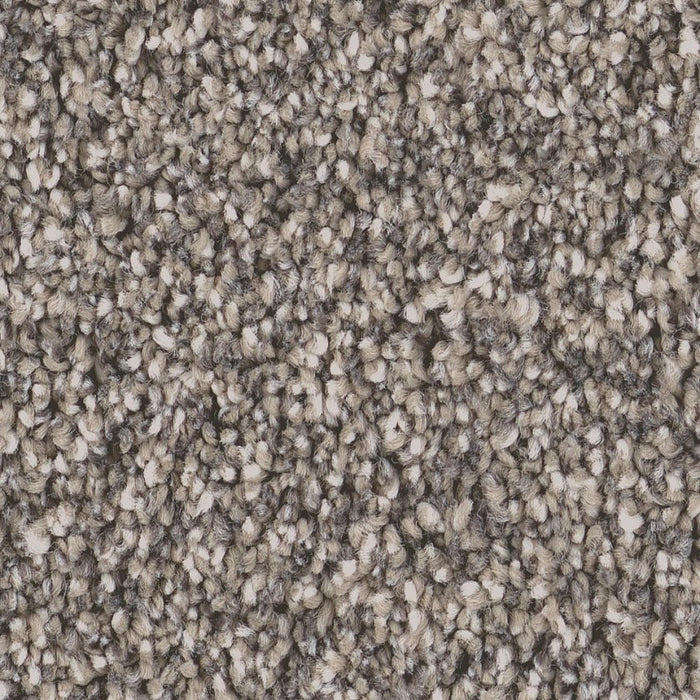 Pet Perfect Grand Influence II Earth Tone 00721