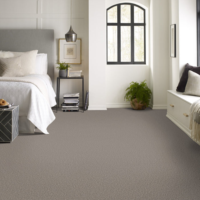 Pet Perfect Grand Influence I Earth Tone Textured 00721