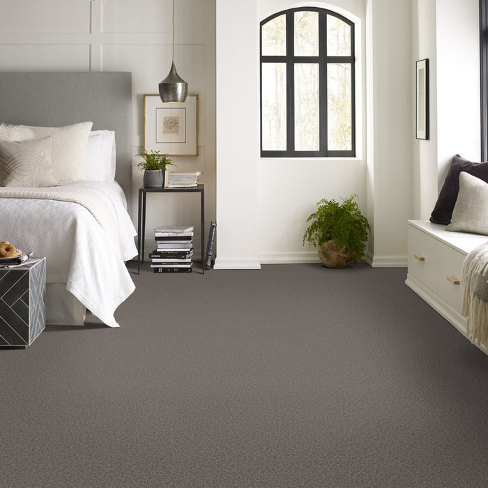 Pet Perfect Grand Influence I Knighthood Textured 00521