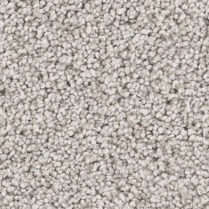 Pet Perfect Grand Influence II London Fog 00115