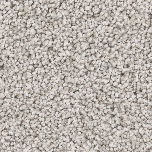 Pet Perfect Grand Influence III London Fog 00115