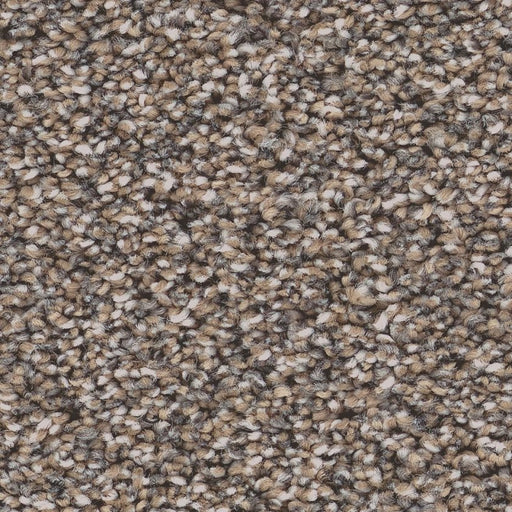 Pet Perfect Grand Influence I Mushroom 00118