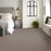 Pet Perfect Grand Influence I Mushroom Textured 00118