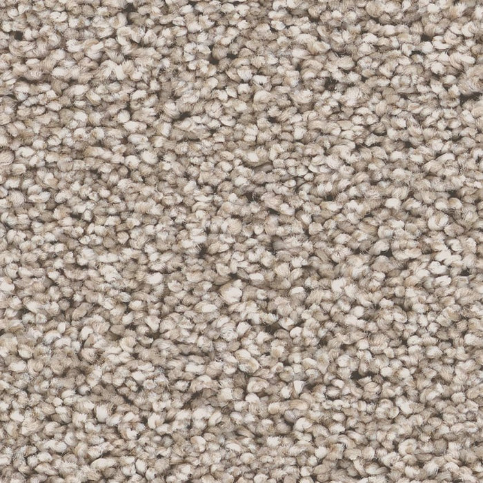 Pet Perfect Grand Influence I Pebble 00720