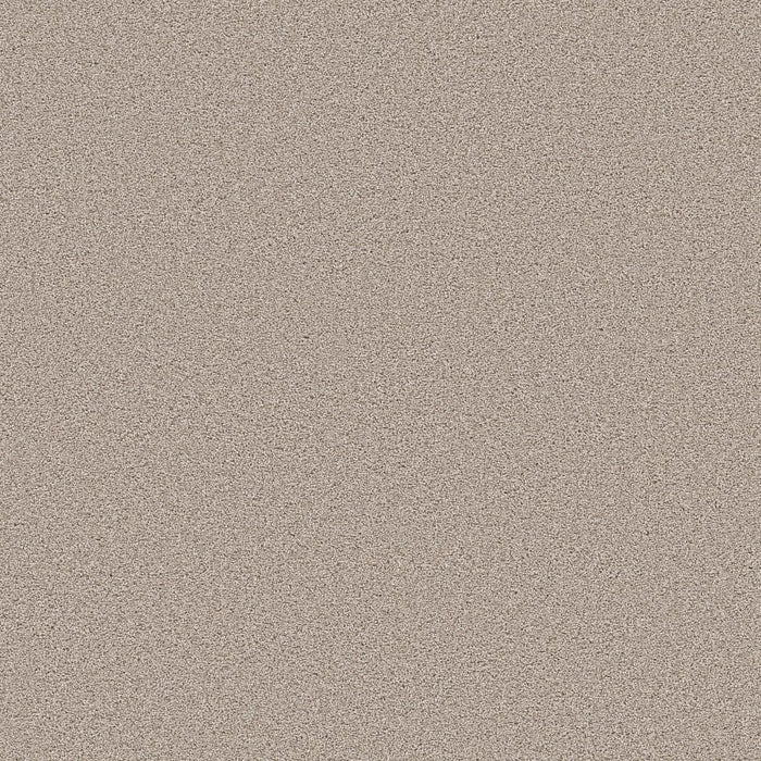 Pet Perfect Grand Influence I Polyester Pebble 00720