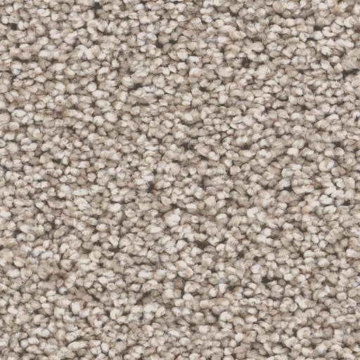 Pet Perfect Grand Influence III Pebble 00720