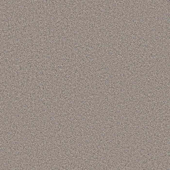 Pet Perfect Grand Influence III Polyester Platinum 00533