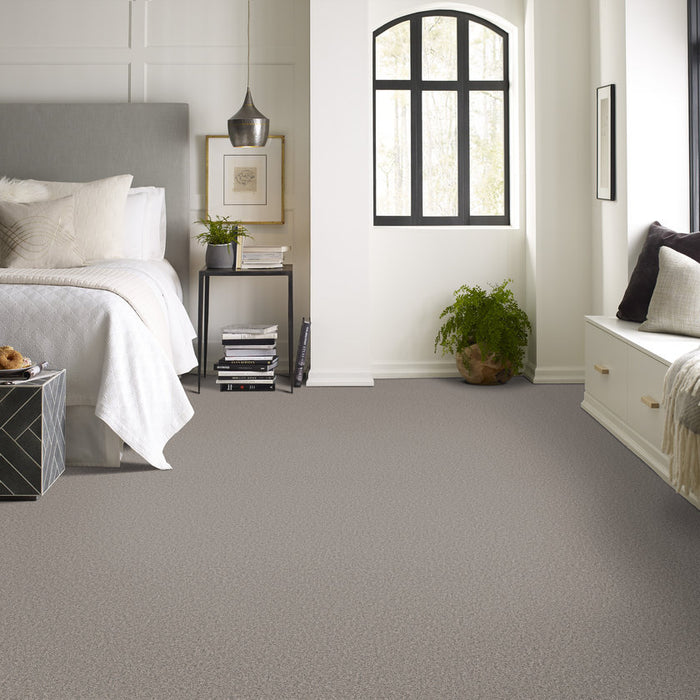 Pet Perfect Grand Influence I Platinum Textured 00533