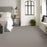 Pet Perfect Grand Influence II Platinum Textured 00533