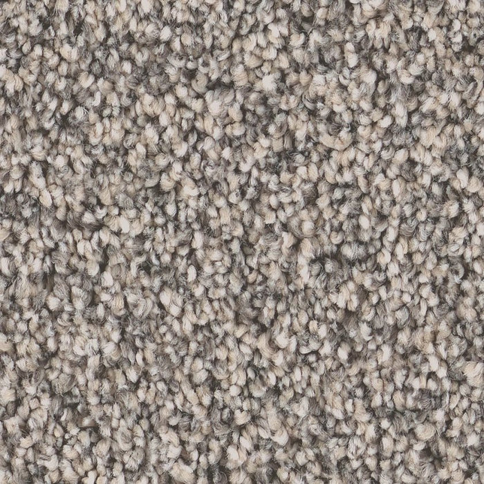 Pet Perfect Grand Influence III Platinum 00533