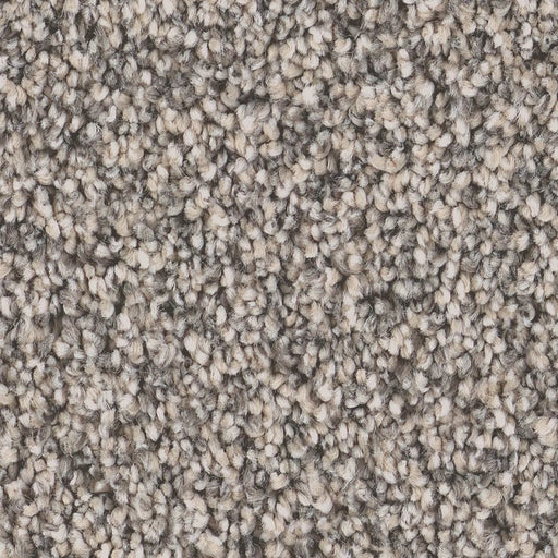 Pet Perfect Grand Influence II Platinum 00533